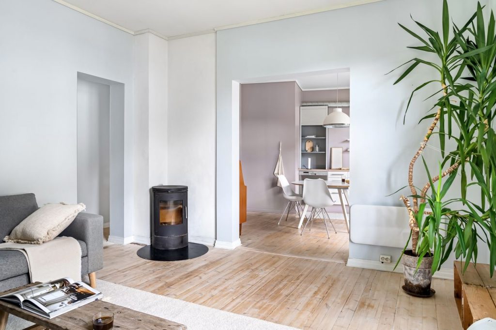 Stylish interior of a modern living room with a wood stove and houseplant.